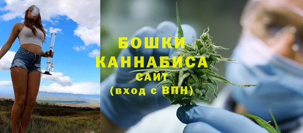 PSILOCYBIN Белоозёрский