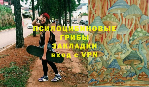 ALPHA PVP Белокуриха