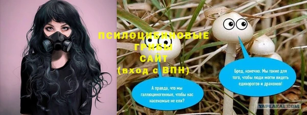 ALPHA PVP Белокуриха
