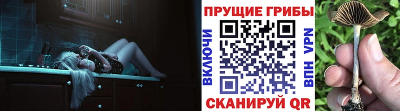 хочу наркоту  MEGA ссылка  Галлюциногенные грибы Magic Shrooms  Минеральные Воды 